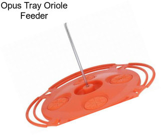 Opus Tray Oriole Feeder