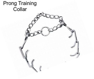 Prong Training Collar