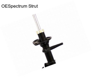 OESpectrum Strut