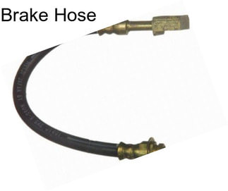 Brake Hose