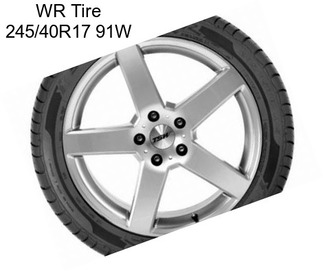 WR Tire 245/40R17 91W