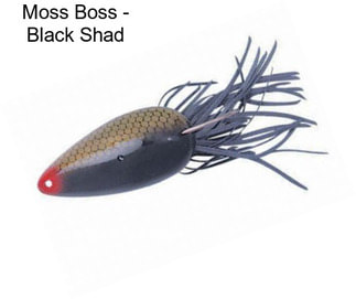 Moss Boss - Black Shad