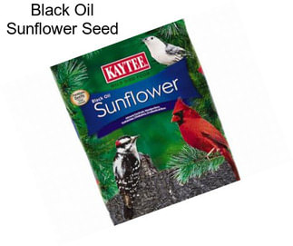 Black Oil Sunflower Seed