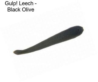 Gulp! Leech - Black Olive