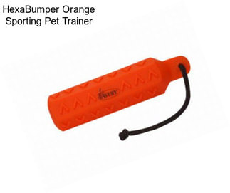 HexaBumper Orange Sporting Pet Trainer