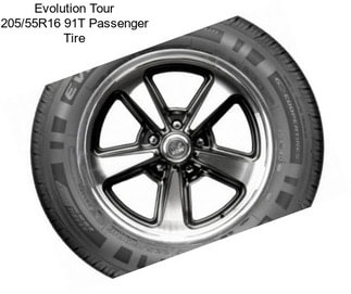 Evolution Tour 205/55R16 91T Passenger Tire