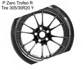 P Zero Trofeo R Tire 305/30R20 Y