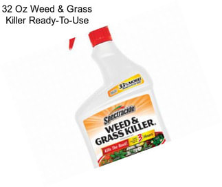 32 Oz Weed & Grass Killer Ready-To-Use