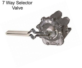 7 Way Selector Valve