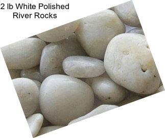 2 lb White Polished River Rocks