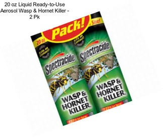 20 oz Liquid Ready-to-Use Aerosol Wasp & Hornet Killer - 2 Pk