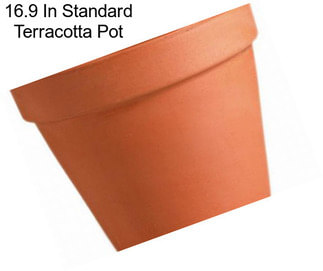 16.9 In Standard Terracotta Pot