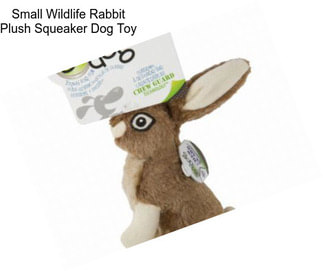 Small Wildlife Rabbit Plush Squeaker Dog Toy