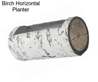 Birch Horizontal Planter