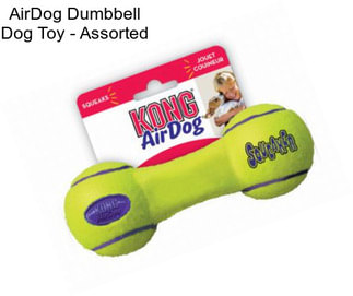 AirDog Dumbbell Dog Toy - Assorted