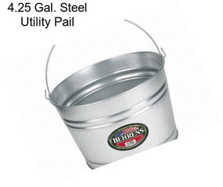 4.25 Gal. Steel Utility Pail