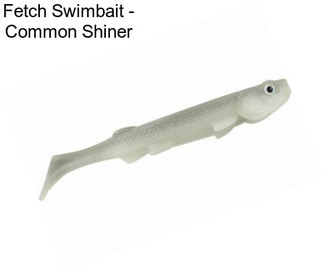 Fetch Swimbait - Common Shiner