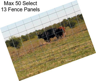 Max 50 Select 13 Fence Panels
