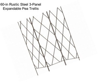 60-in Rustic Steel 3-Panel Expandable Pea Trellis