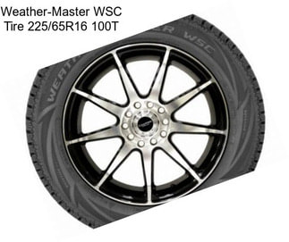 Weather-Master WSC Tire 225/65R16 100T