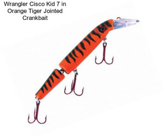 Wrangler Cisco Kid 7 in Orange Tiger Jointed Crankbait