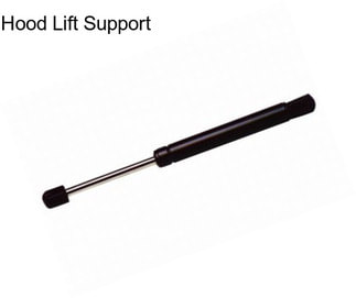 Hood Lift Support