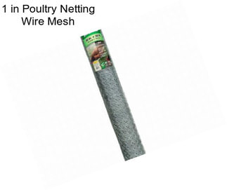 1 in Poultry Netting Wire Mesh