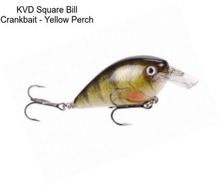 KVD Square Bill Crankbait - Yellow Perch