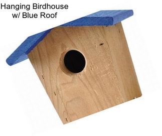 Hanging Birdhouse w/ Blue Roof