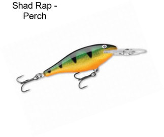 Shad Rap - Perch