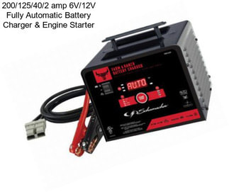 200/125/40/2 amp 6V/12V Fully Automatic Battery Charger & Engine Starter