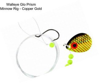 Walleye Glo Prism Minnow Rig - Copper Gold