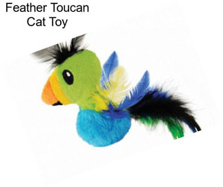 Feather Toucan Cat Toy