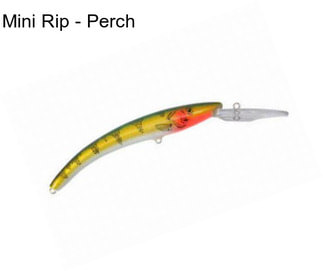 Mini Rip - Perch