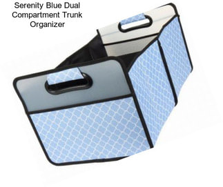 Serenity Blue Dual Compartment Trunk Organizer