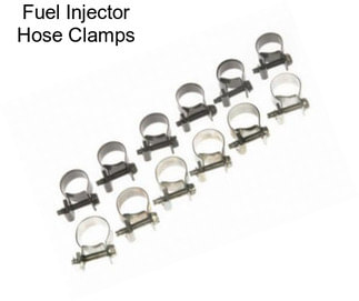 Fuel Injector Hose Clamps