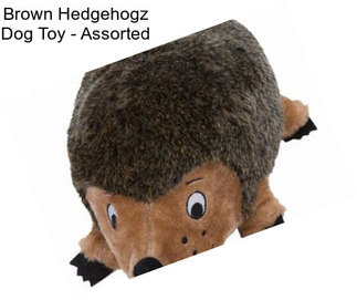 Brown Hedgehogz Dog Toy - Assorted