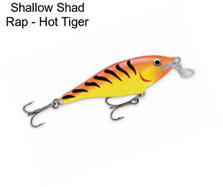 Shallow Shad Rap - Hot Tiger