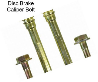 Disc Brake Caliper Bolt