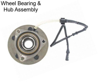 Wheel Bearing & Hub Assembly