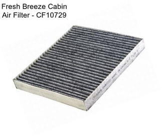 Fresh Breeze Cabin Air Filter - CF10729
