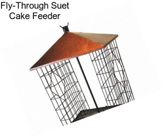 Fly-Through Suet Cake Feeder