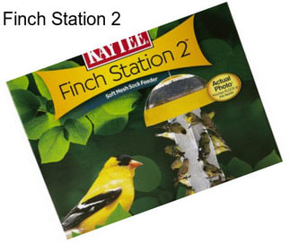 Finch Station 2