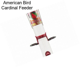 American Bird Cardinal Feeder