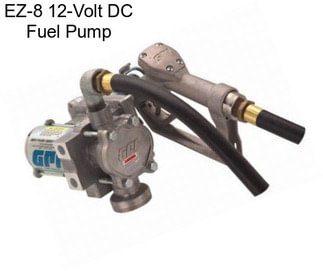 EZ-8 12-Volt DC Fuel Pump