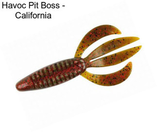Havoc Pit Boss - California