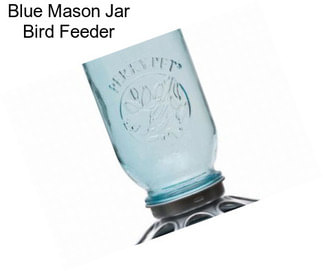 Blue Mason Jar Bird Feeder