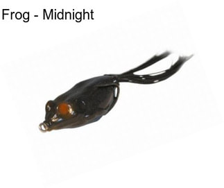 Frog - Midnight