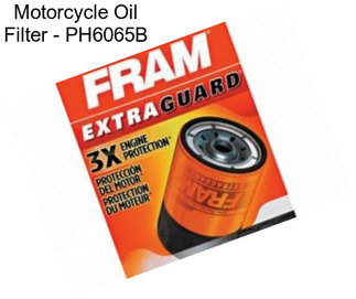 Motorcycle Oil Filter - PH6065B