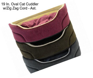 19 In. Oval Cat Cuddler w/Zig Zag Cord - Ast.